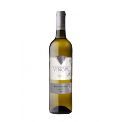 Rulandské bílé, pozdní sběr...